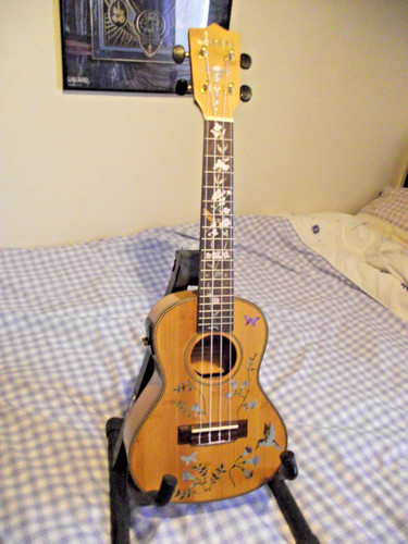 Moselele electro acoustic - moselele,