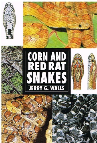 Corn and red rat snakes - rat, new