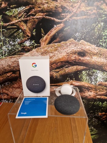 Google nest mini 2nd gen - google,