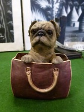 Leonardo collection off we go