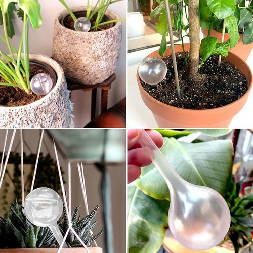 10pcs automatic plant - automatic, water