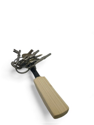 Cricket gifts mini - mini, bat