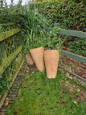 3 Tall And Wonky Natural Terracotta Pots Filled With Dramatic Plants