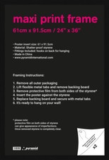 Maxi Poster Black Frame -