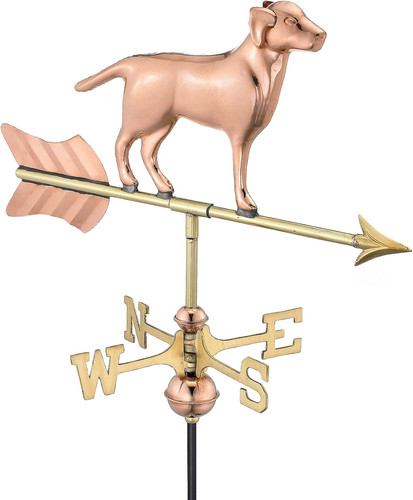Labrador retriever dog garden - labrador,