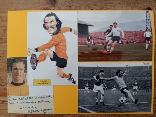 Wolves wolverhampton wanderers - wolves,