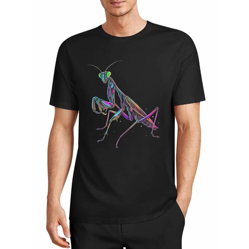 Praying mantis colourful - praying,