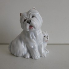 West Highland White Terrier