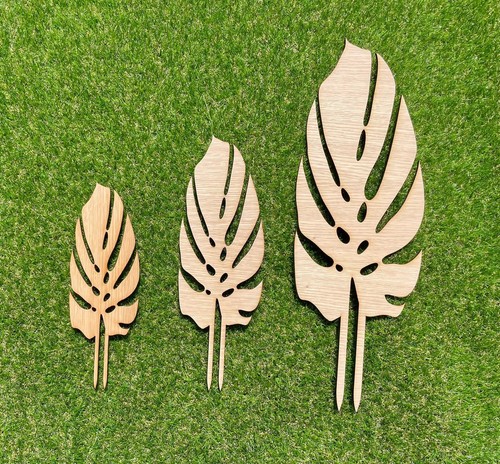Monstera eco friendly oak - monstera,