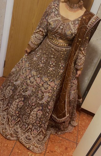 Pakistani lehnga choli indian - lehnga,