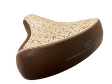 Schwinn Cruiser Oversized