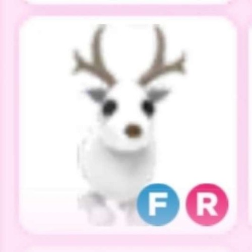 Arctic reindeer adopt - |,