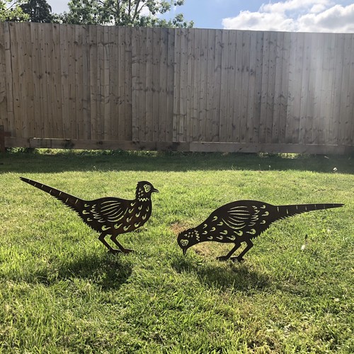 Rusty metal birds pheasant - rusty,