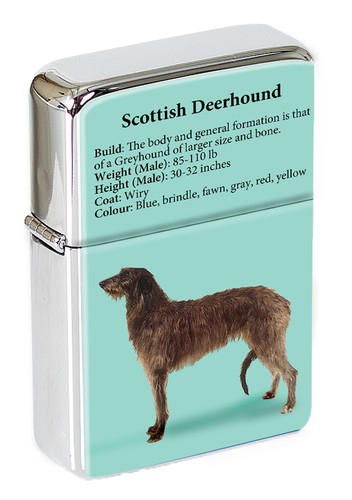 Scottish deerhound flip - deerhound,