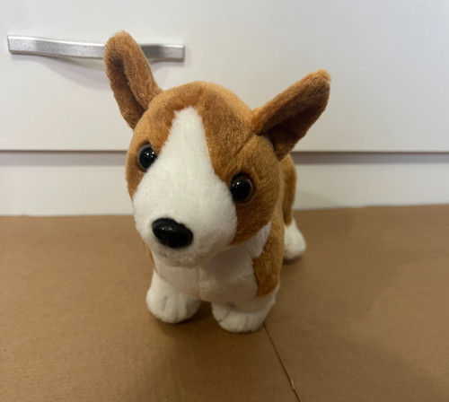 Frankford candy corgi - corgi, puppy