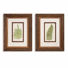Ethan Allen Framed Botanical