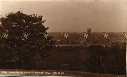 Canterbury from thomas - from, st