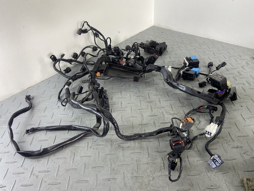 Triumph street triple - triumph,