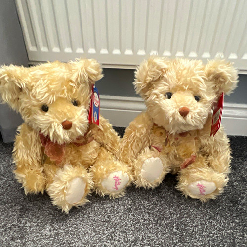Pair hamleys teddy bears - of,