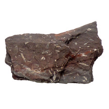 Andalusite v Chiastolite Glenderaterra Skiddaw Cumbria UK Mineral Specimen 166g