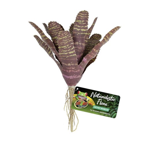 Zoo med naturalistic flora - zoo,