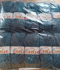 Wendy Evolve Chunky 10 x 100g