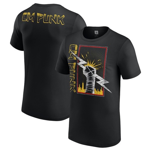 Wwe punk chicago - wwe, cm