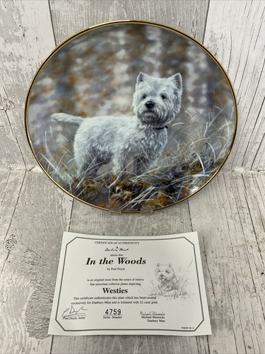 Westie collectors plate in - collectors,