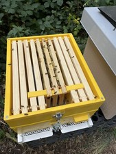 National - Langstroth