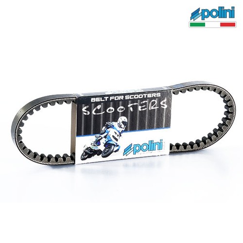Polini cinghia speed - cinghia,