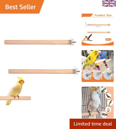 Engaging bird cage accessories - bird,