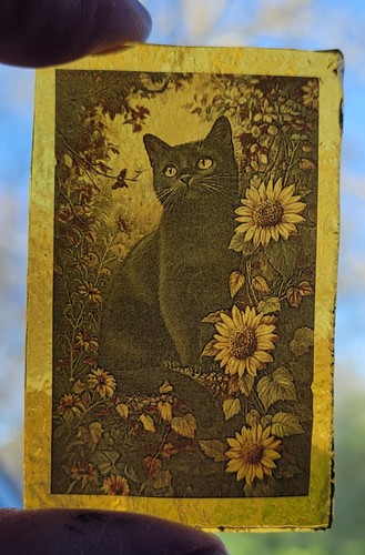 Stained glass black cat - glass,