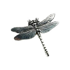 Dragonfly Pewter Pin Badge Nature Insect Transformation Tie Lapel Hat Jewellery