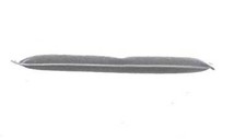 AC Dryer MAHLE Fits FORD