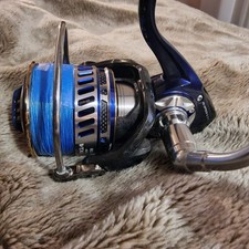 Dawia Saltiga Expedition 5500H