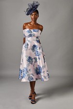 Coast Blush Fit & Flare Dress