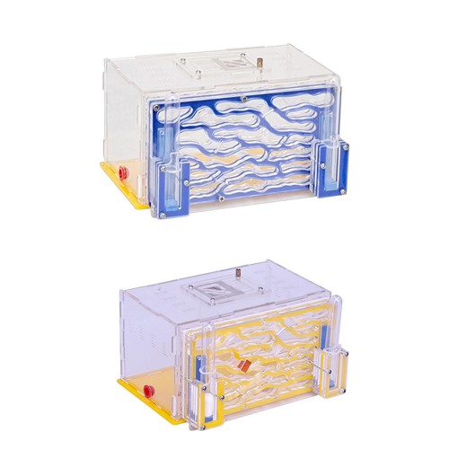 Ant housing nest habitat with - ant,