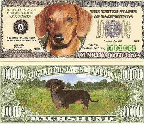 Dachshund dog puppy million - puppy,