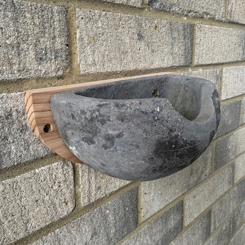 House martin nest - nest, box