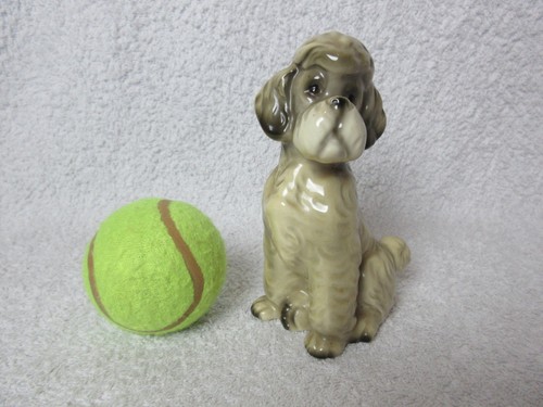 Vintage standard poodle - poodle, german