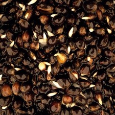 Nash Bait Particles Oily Hemp