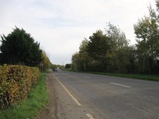 Photo 6x4 Outwell Road Holly