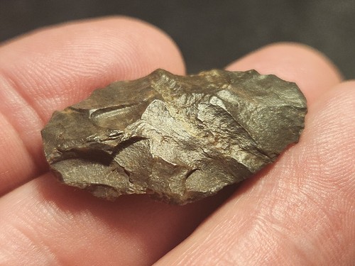 Neolithic early bronze age
