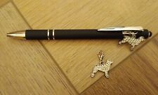 Retractable pen with screen