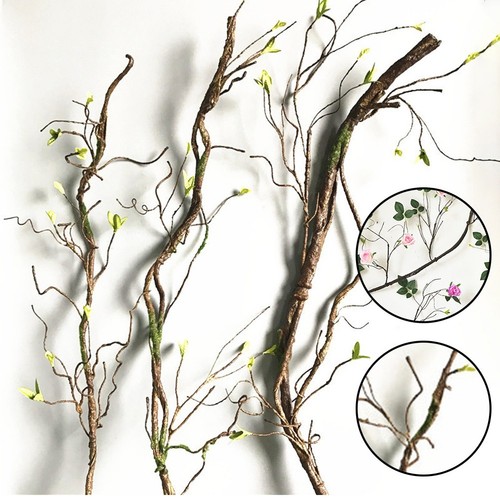 Photo studio decoration - studio, tree