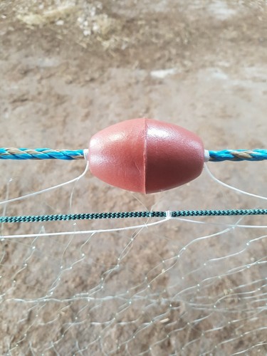 Gill net survival - net/, one