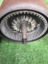 Genuine Suffolk Punch Rear