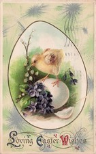 Easter Hunt Eggs Spring Chicks