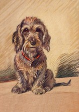 DACHSHUND DOG GREETING CARD