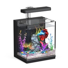 Betta Fish Tank 2-Gallon